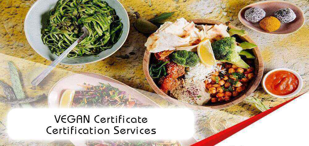 Learn all the details you need to obtain a vegan certificate. Complete the process quickly with our company, which serves all regions.




